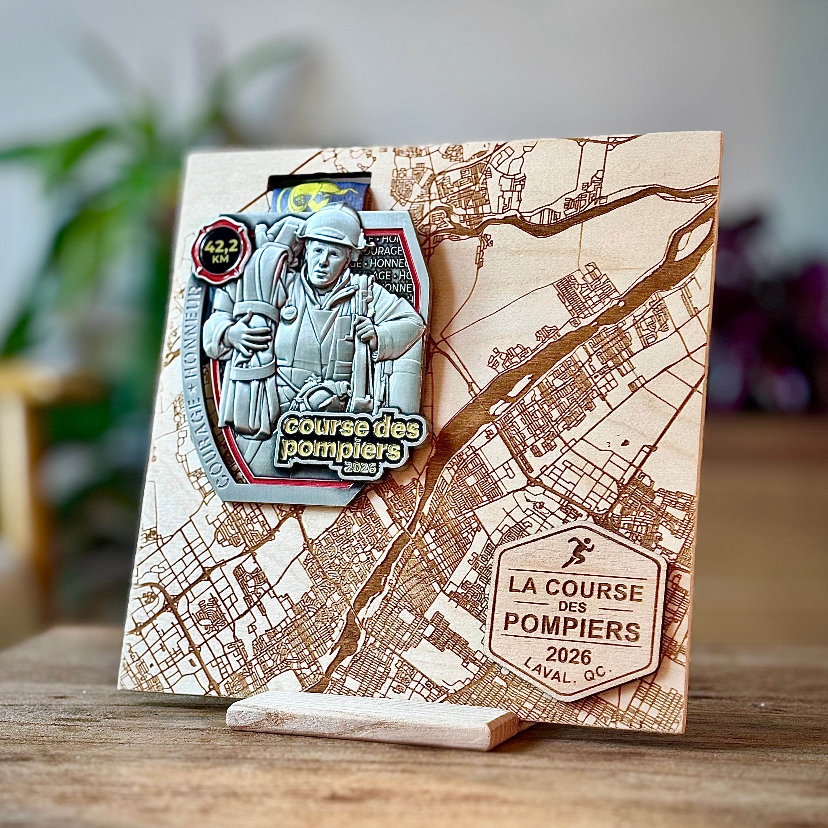 Medal Map Display