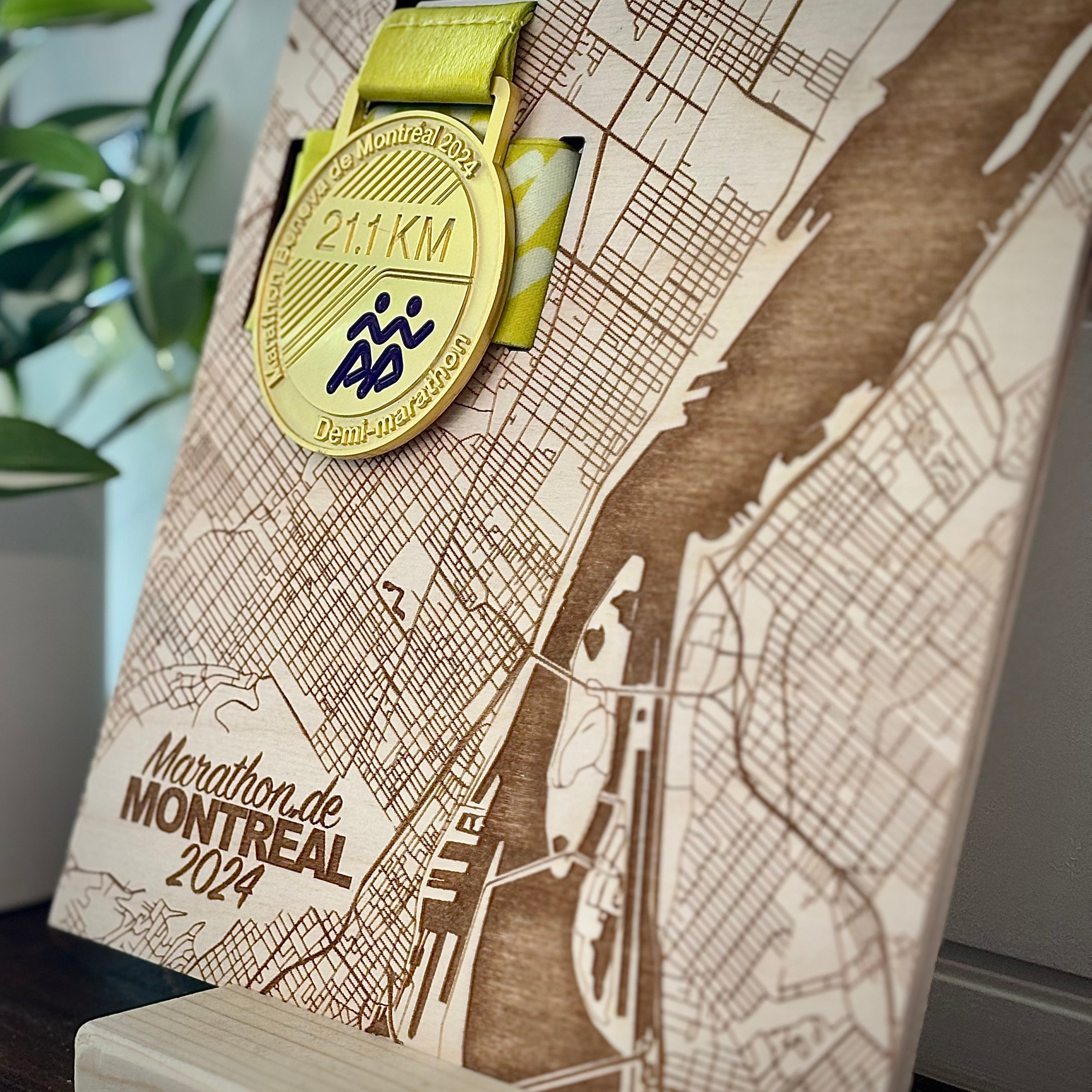 Medal Map Display