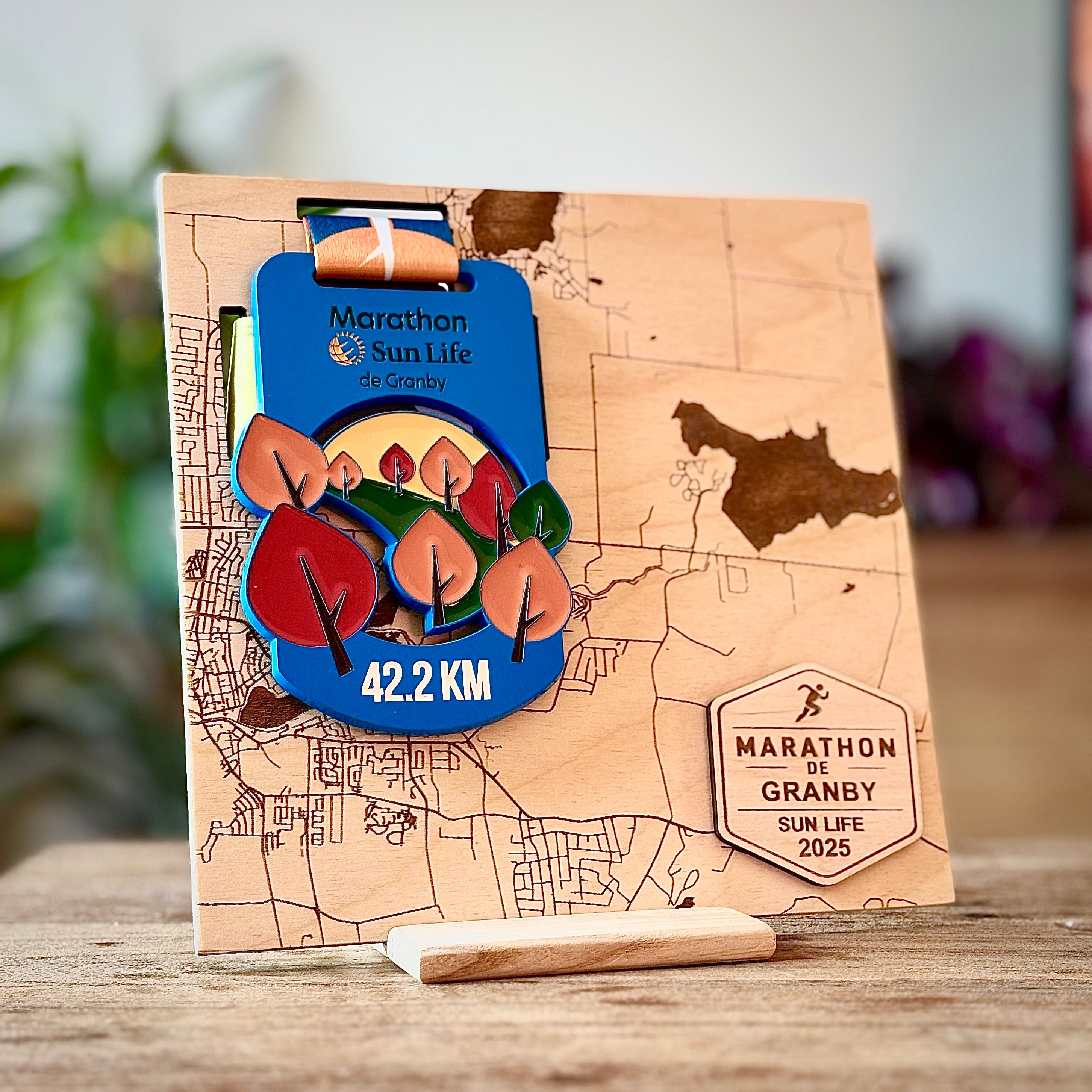 Medal Map Display